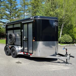 13' 2-Horse trailer for sale