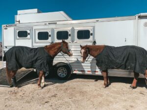 Two-Horse vs. Three-Horse Trailers: Which Is Right for You?